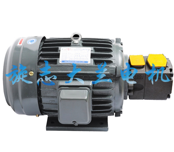 大兰PV2R1油泵电机组.jpg
