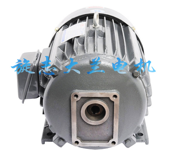 【湖南】永州齿轮泵内插式电机就找大兰电机专业生产厂家