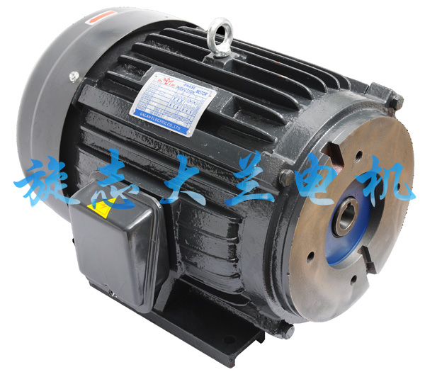 【汕头】PV2R2叶片泵油泵电机用户专业合作伙伴：大兰电机
