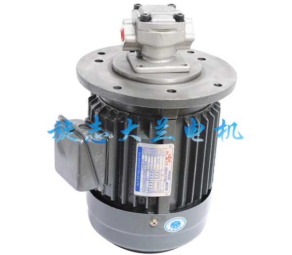 液压油泵电机轴承过热的原因分析及处理方法
