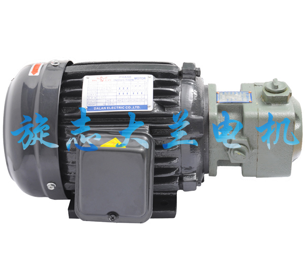 【黑龙江】大兰电机 双鸭山油泵电机组专业生产厂家